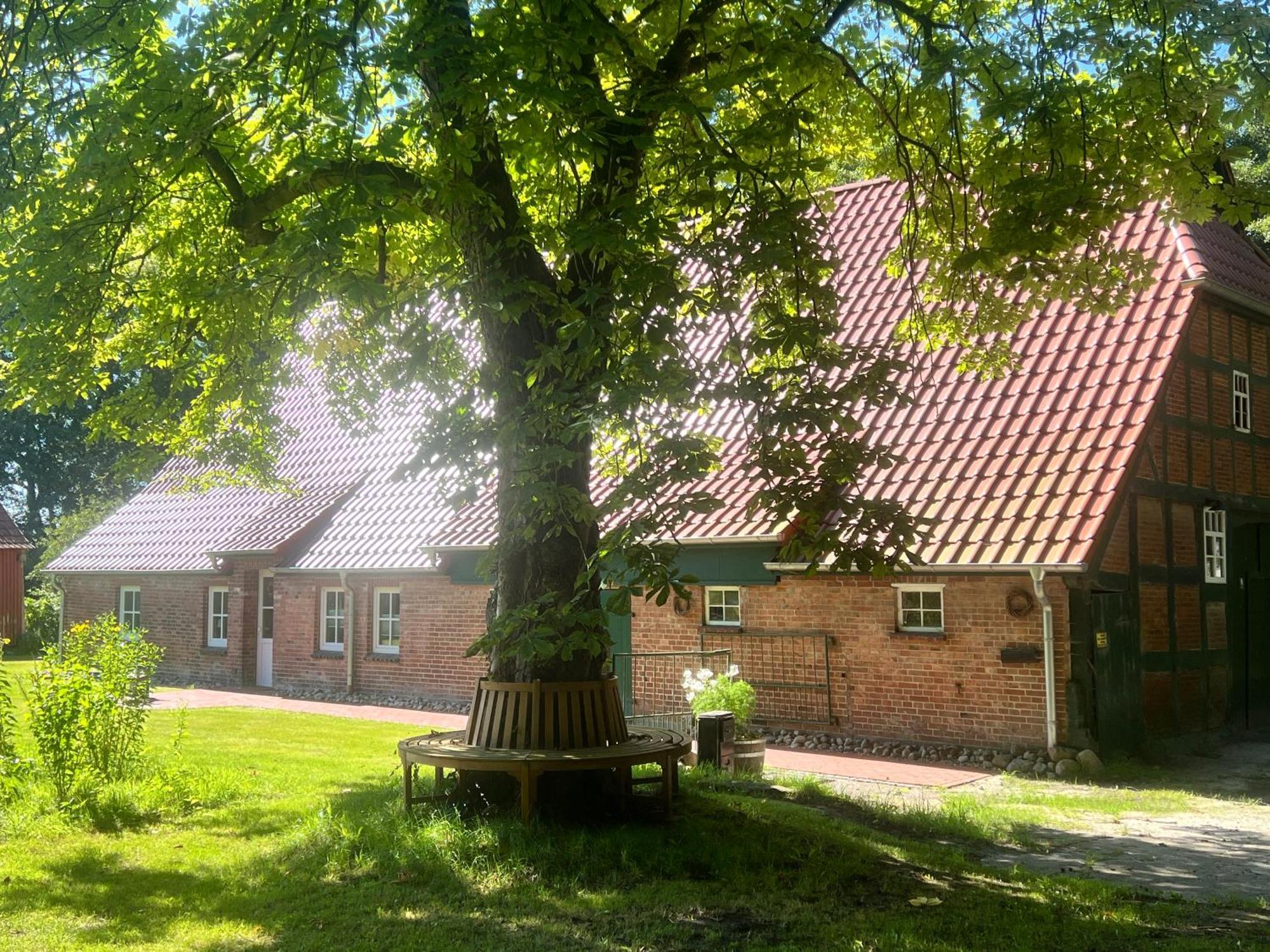Schwanewede Ferienwohnung Mit Garten In Meyenburg - Keine Monteure מראה חיצוני תמונה